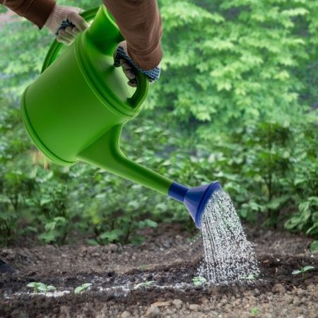 Лейка садовая, 10 л, с горловиной, пластмассовая Россия Сибртех по цене 486 руб. купить в Воронеже.