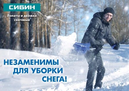 Снеговая лопата СИБИН ЛС-430 430мм стальная с деревянным черенком по цене 1 000 руб. купить в Воронеже.