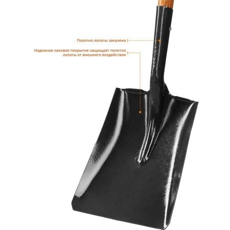 Лопата ″Профи-10″ совковая, деревянный черенок, с рукояткой, ЗУБР Профессионал по цене 2 140 руб. купить в Воронеже.