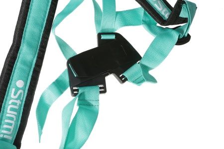 Триммер бензиновый Sturm! BT9152BL по цене 8 990 руб. купить в Воронеже.