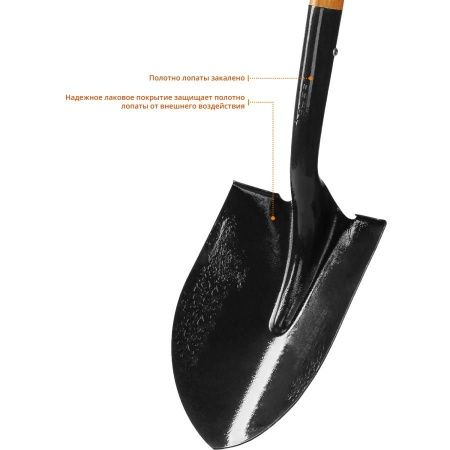 Лопата ″Профи-10″ штыковая для земляных работ, деревянный черенок, с рукояткой, ЗУБР Профессионал по цене 2 010 руб. купить в Воронеже.