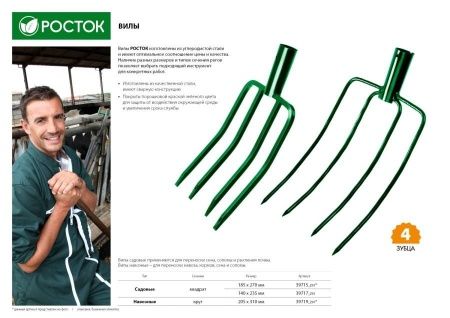 РОСТОК 185х270 мм, вилы с квадратными зубьями по цене 530 руб. купить в Воронеже.