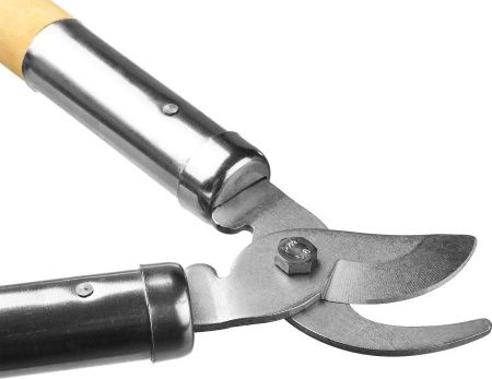 Плоскостной сучкорез с деревянными рукоятками, РОСТОК по цене 840 руб. купить в Воронеже.