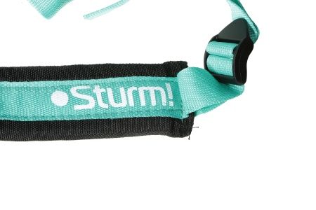 Триммер бензиновый Sturm! BT9152BL по цене 8 990 руб. купить в Воронеже.