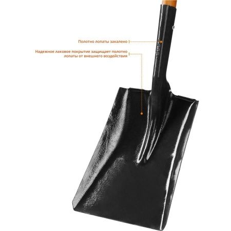 Лопата ″Профи-10″ совковая, деревянный черенок, ЗУБР Профессионал по цене 2 070 руб. купить в Воронеже.